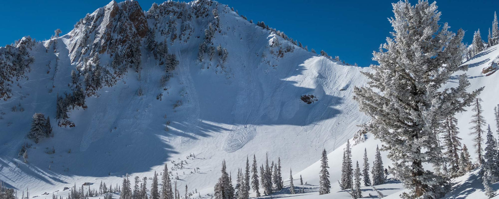 Sunice Performance Apparel