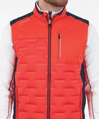 Scarlet Flame/Midnight