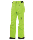 Electric Lime